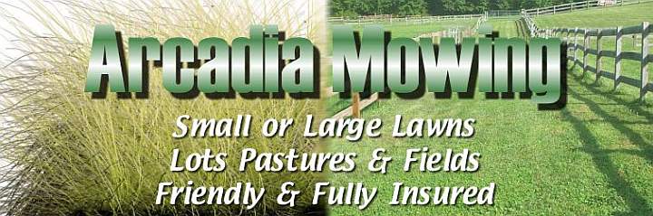 Lawn, lot, pasture and field mowing in Wayne County, NY